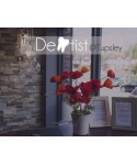 The Dentist @ Tupsley Logo