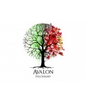 Avalon Tree Surgery Logo