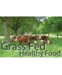 Model Farm Logo